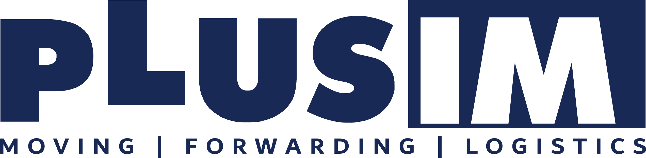 PLUSIM logo